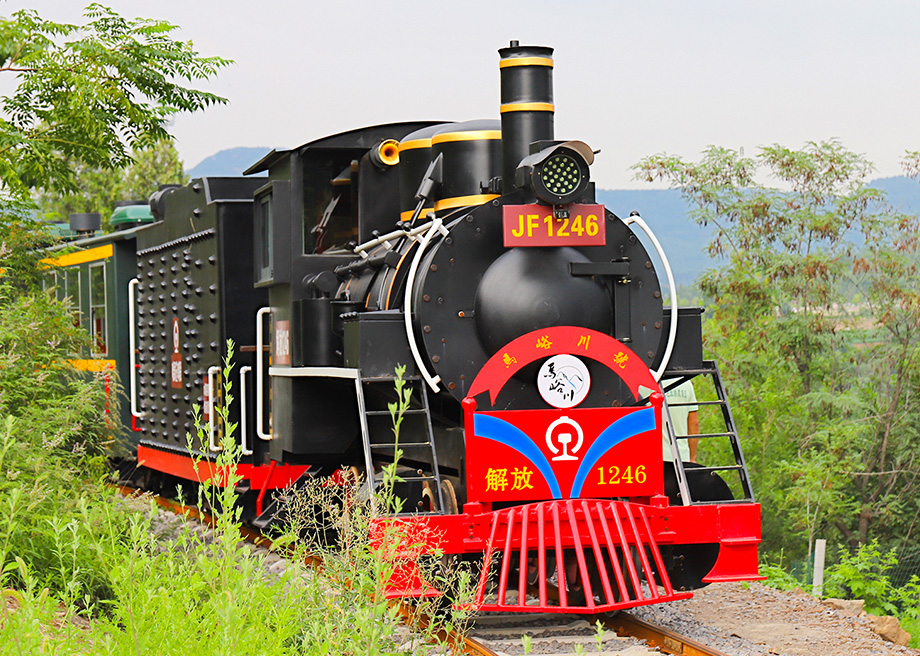Large Track Train