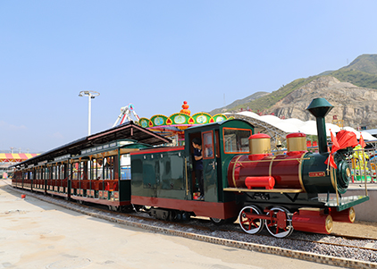 Customized Large Track Train