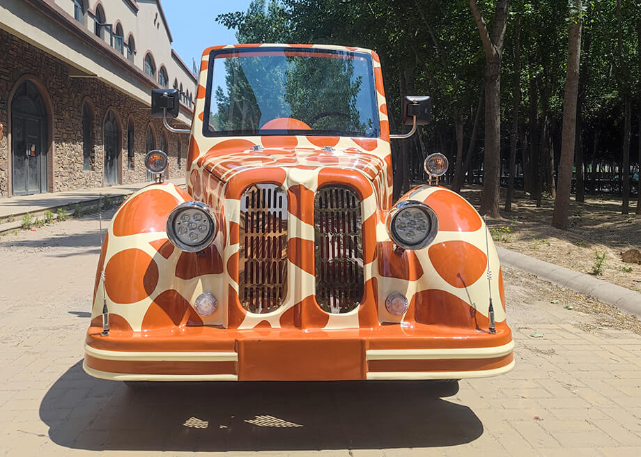Sightseeing Vintage Car