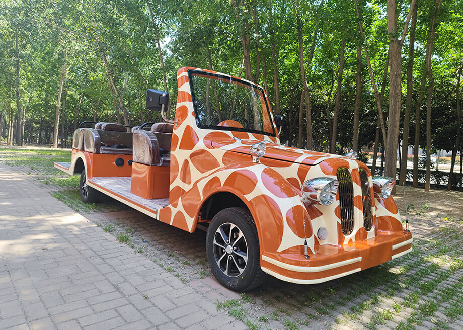 Sightseeing Vintage Car